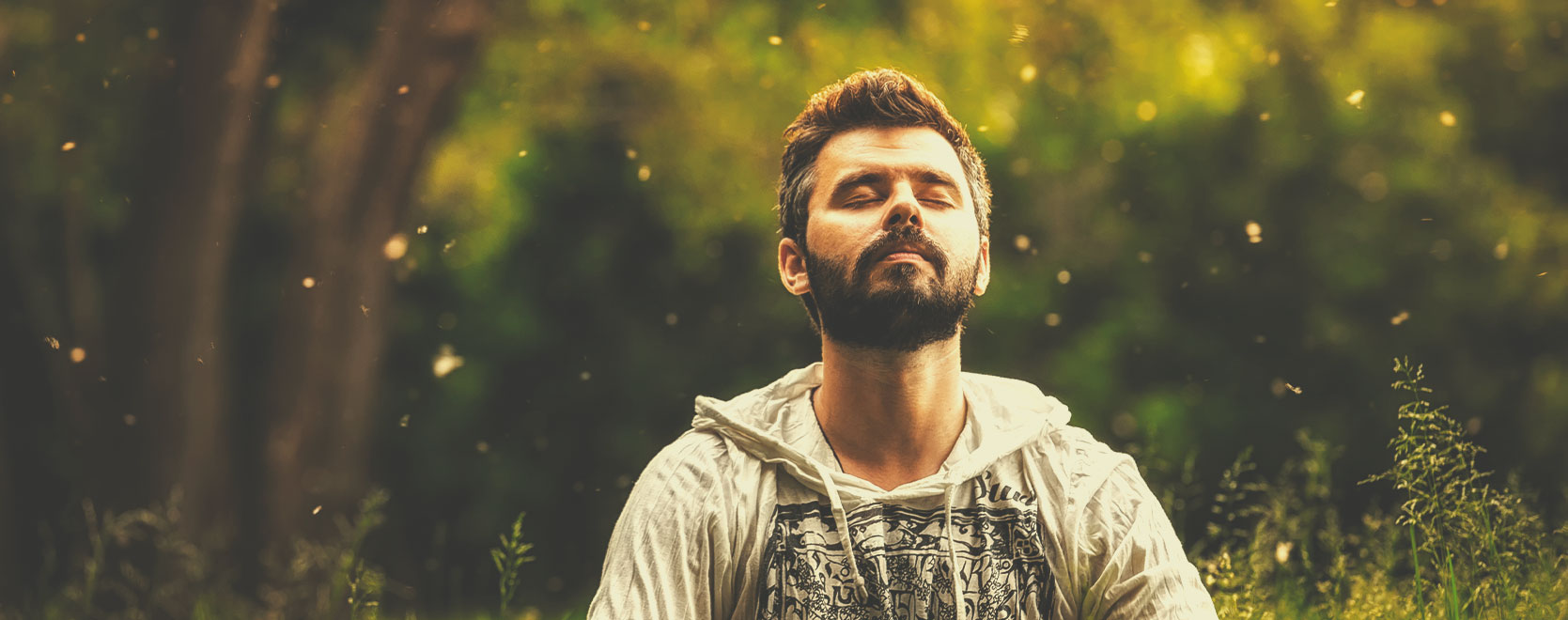 Do THC and CBD have different effects in this context? What about THCV? Do THC and CBD have different effects in this context? What about THCV?