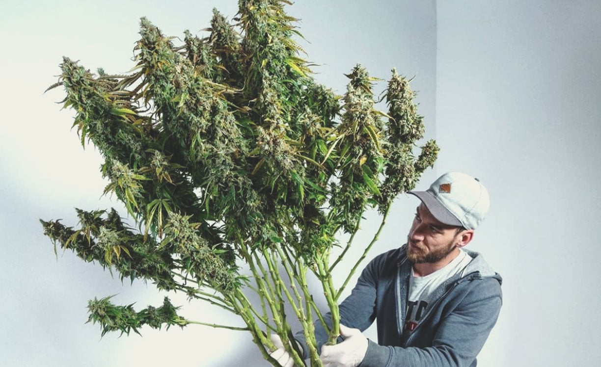 Sitting Down With DWC Specialist Sebastian Sitting Down With DWC Specialist Sebastian