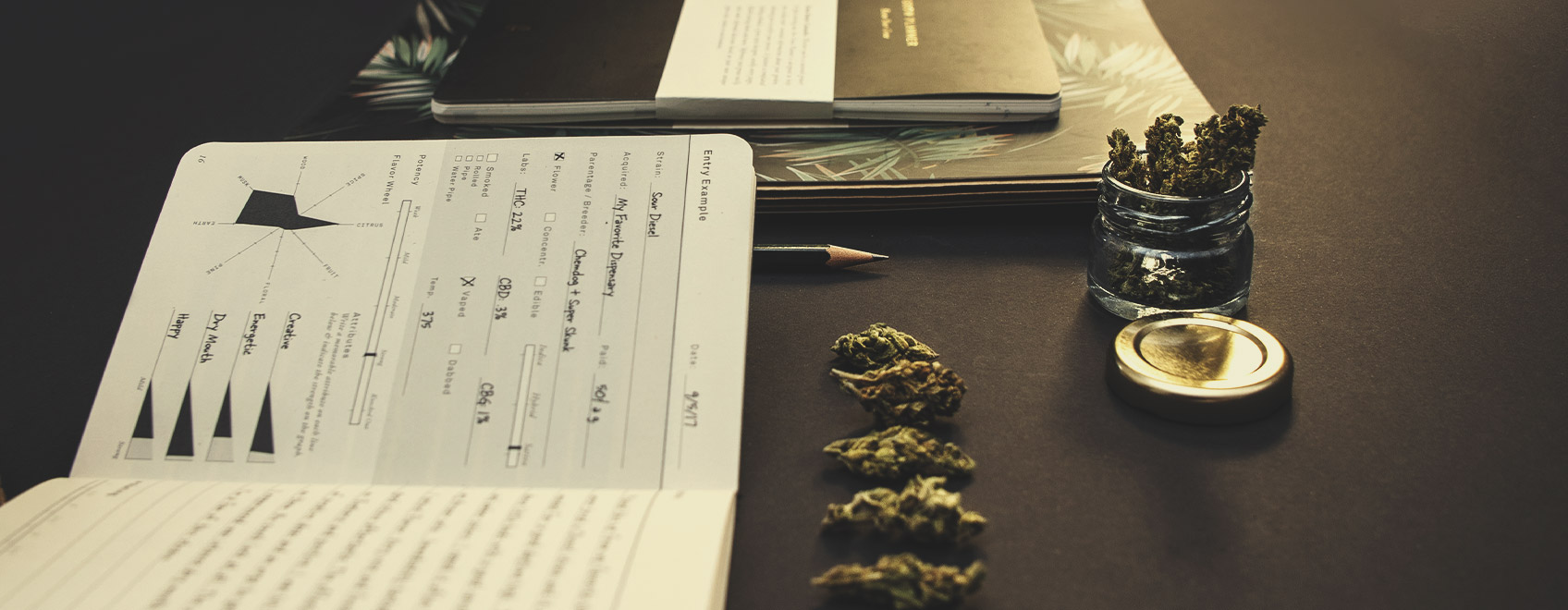 Does marijuana cause you to lose control? Or are you aware of what's happening around you? Does marijuana cause you to lose control? Or are you aware of what's happening around you?