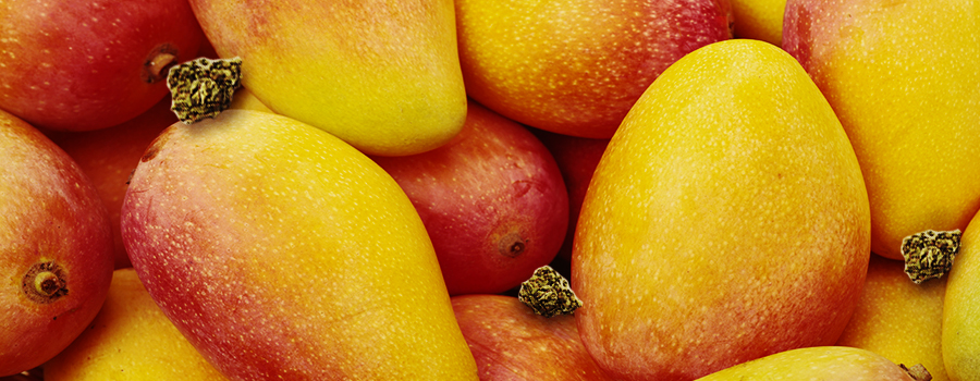 Eat mangoes to avoid getting the munchies Eat mangoes to avoid getting the munchies
