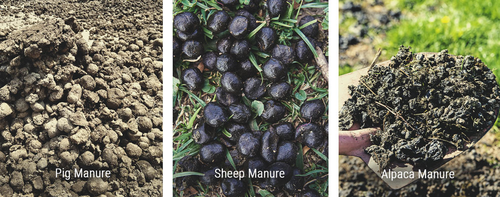 Only Spread Well-Rotted Manure Only Spread Well-Rotted Manure