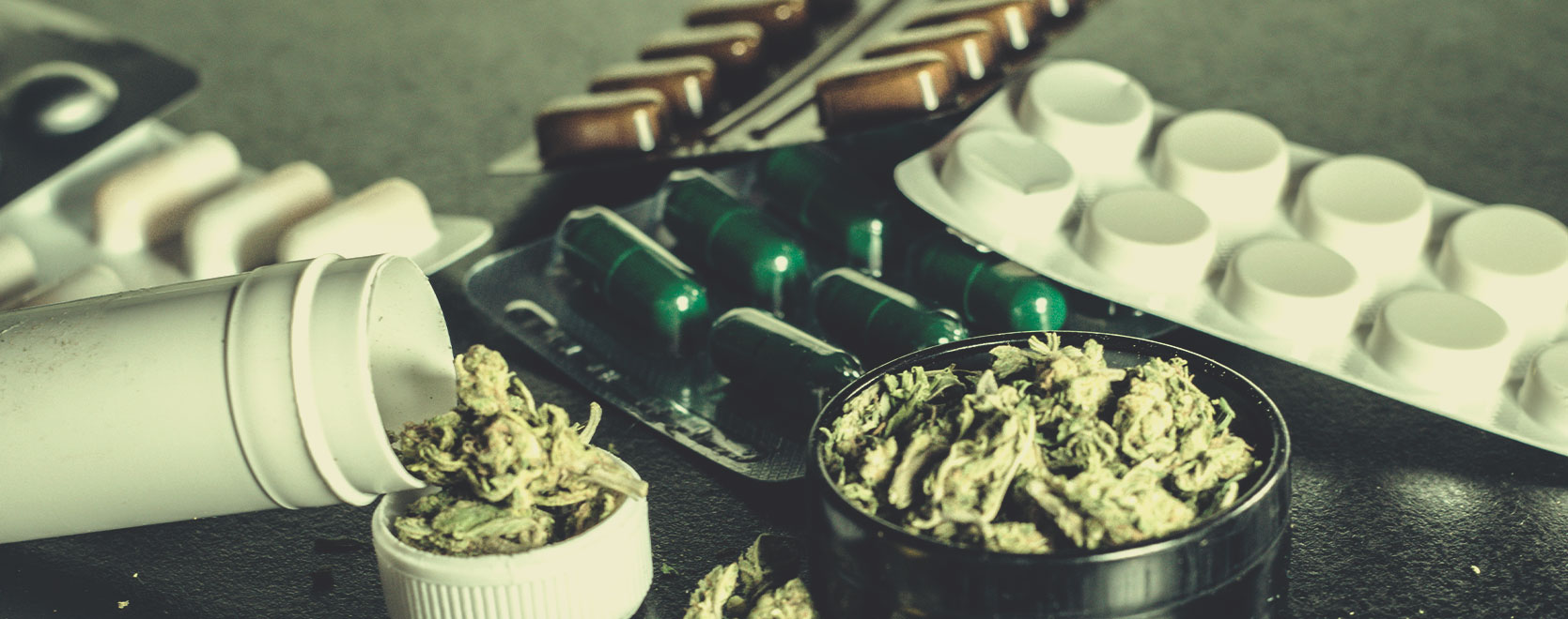 What Drives Drug Users to Opt for Cannabis as a Substitute? What Drives Drug Users to Opt for Cannabis as a Substitute?
