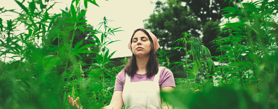Can you share a practice with us that we could use to meditate with cannabis?