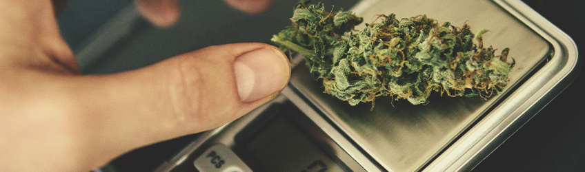 Clearing Up 10 Myths About Marijuana
