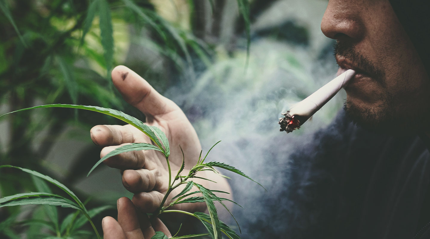 Slang Terms for Cannabis Users Slang Terms for Cannabis Users