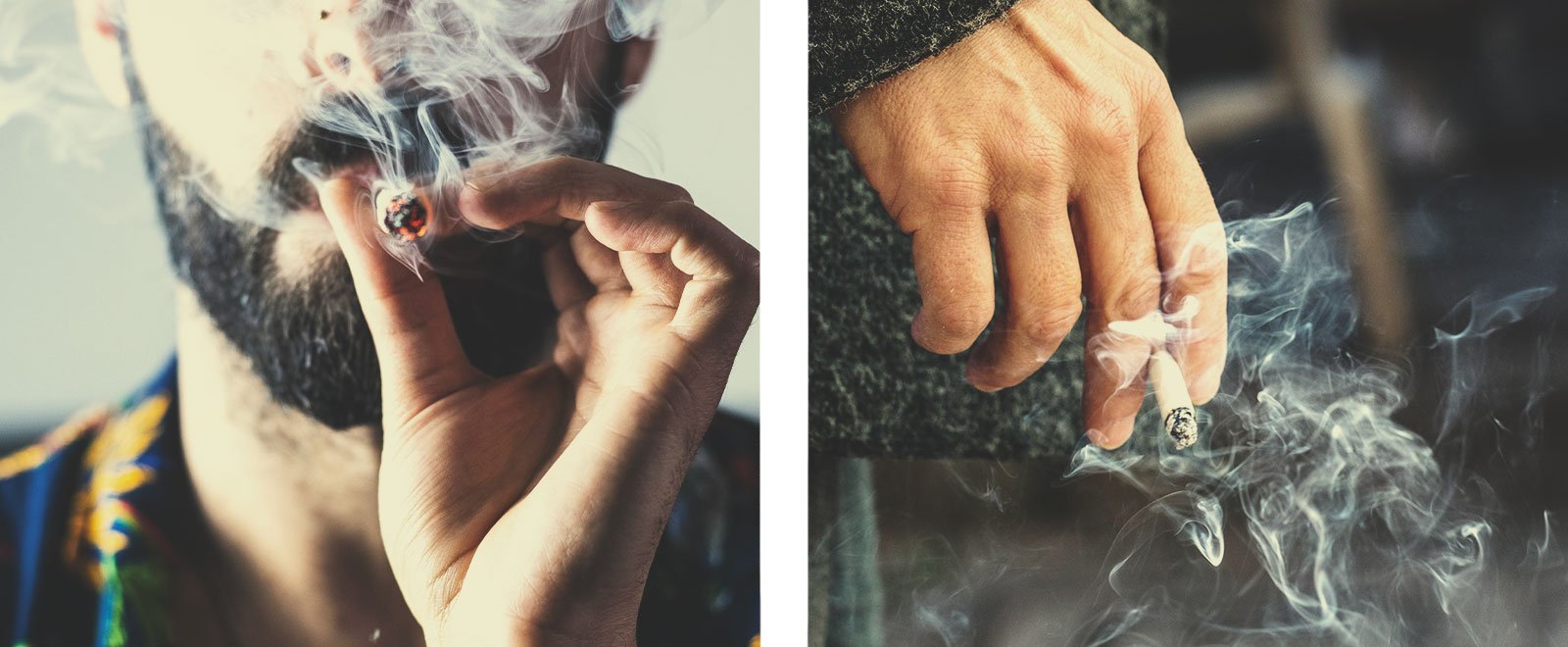 What Is the Real Effect of Cannabis on the Lungs? What Is the Real Effect of Cannabis on the Lungs?