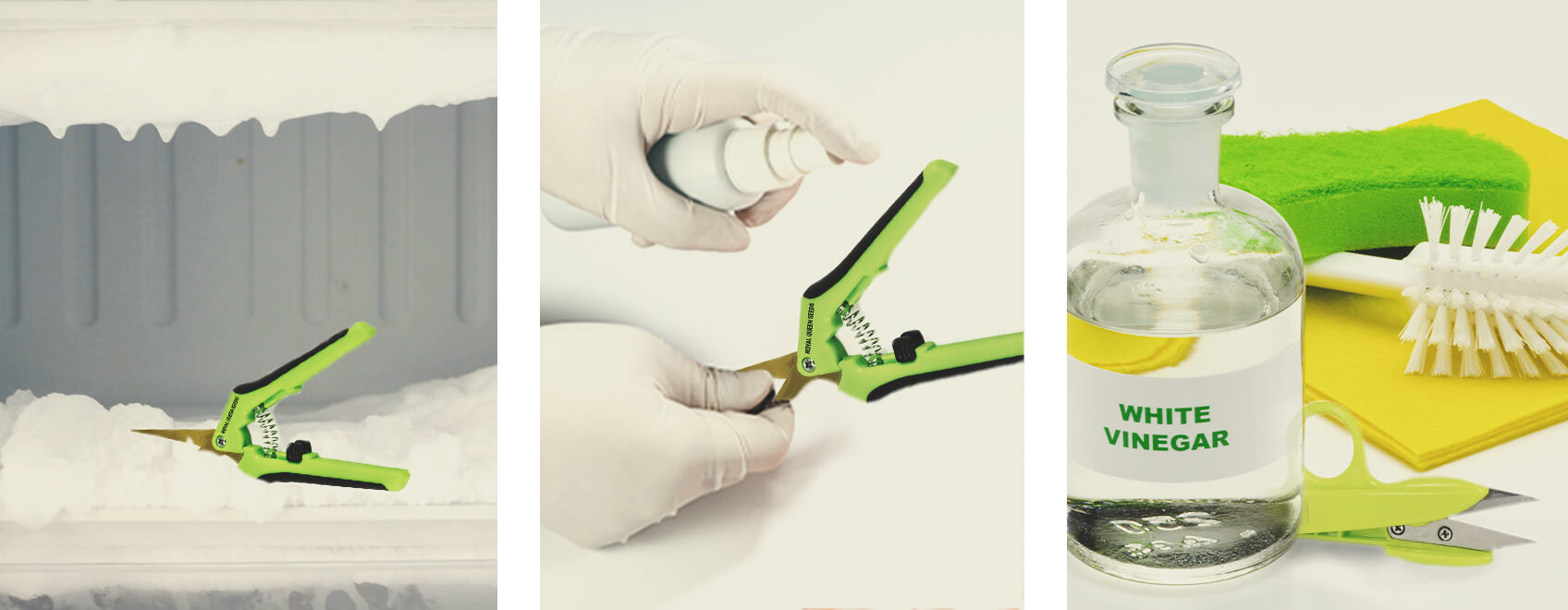 5 Ways To Clean Your Cannabis Trimming Scissors 5 Ways To Clean Your Cannabis Trimming Scissors
