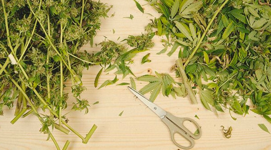 How to Make Highly Potent Cannabutter How to Make Highly Potent Cannabutter