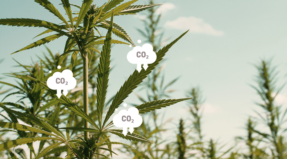 Carbon Farming Carbon Farming