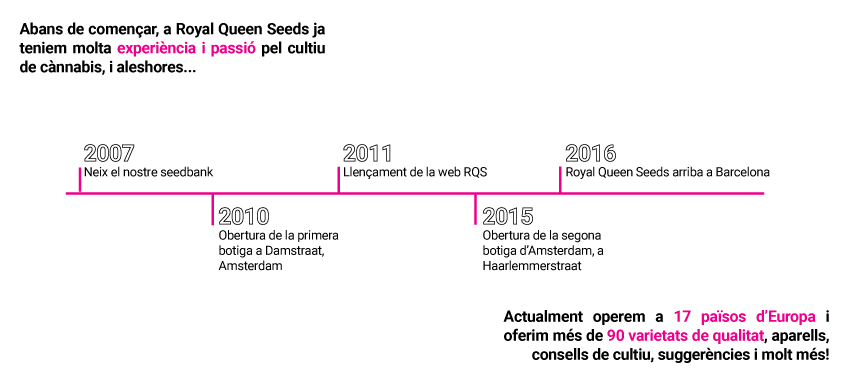 RQS Storyline RQS Storyline