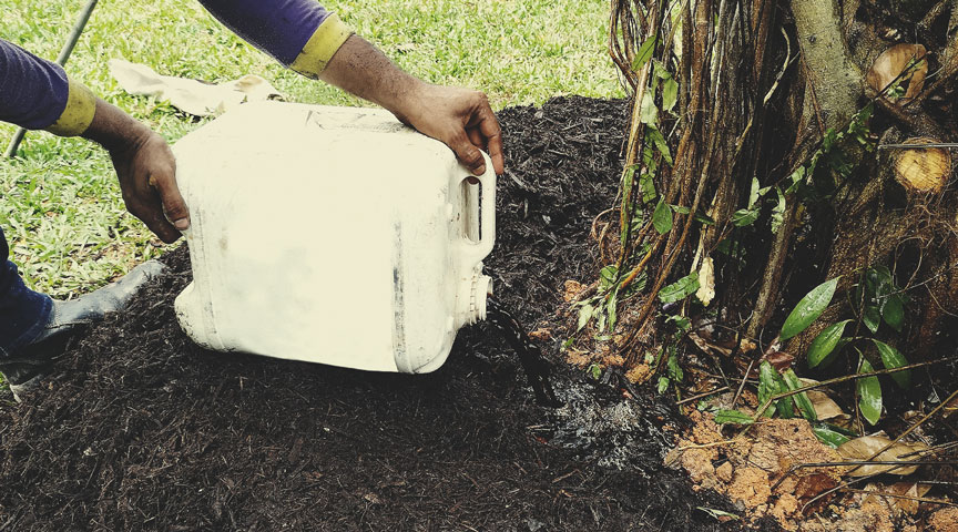 Apply as a compost tea Apply as a compost tea