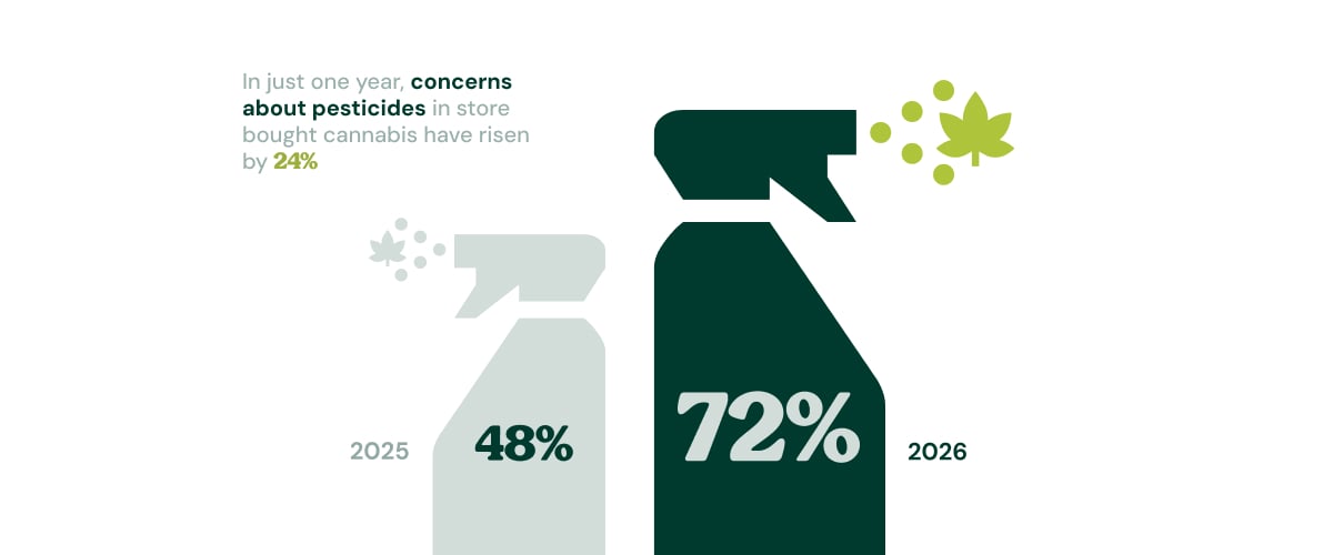 Concerns About Pesticides in Cannabis Are Rising Infographic showing pesticide concerns in store-bought cannabis rising from 48% in 2025 to 72% in 2026.
