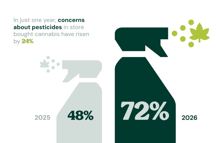 Concerns About Pesticides in Cannabis Are Rising Infographic showing pesticide concerns in store-bought cannabis rising from 48% in 2025 to 72% in 2026.