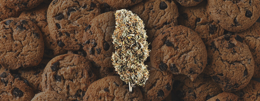 Cookies Genetics