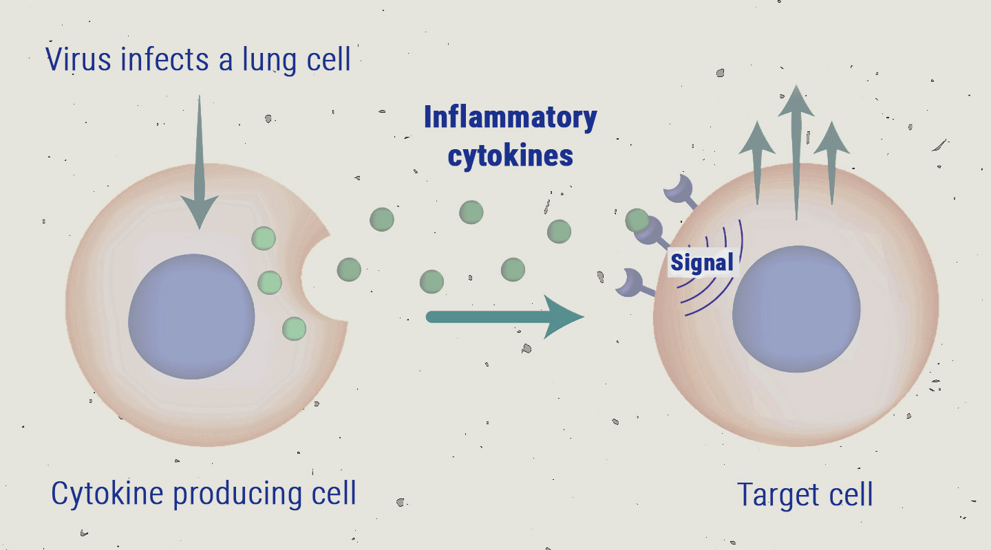 The Cytokine Storm The Cytokine Storm