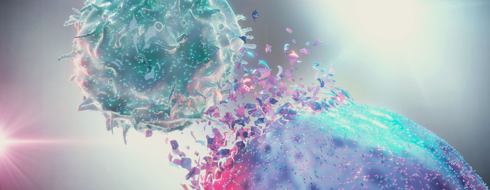 The Role of the Endocannabinoid System in Immunity The Role of the Endocannabinoid System in Immunity