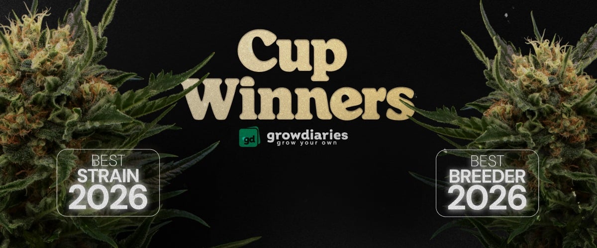 Cup Winners 2026 cannabis awards banner featuring best strain and best breeder winners with cannabis buds and GrowDiaries logo