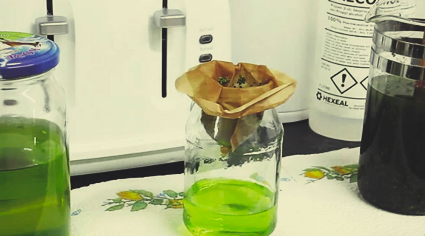 How To Make Rick Simpson Oil How To Make Rick Simpson Oil
