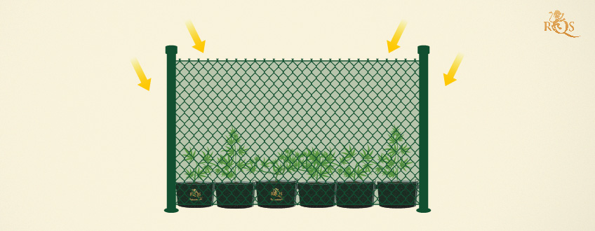 Green mesh fence to hide your plant Green mesh fence to hide your plant