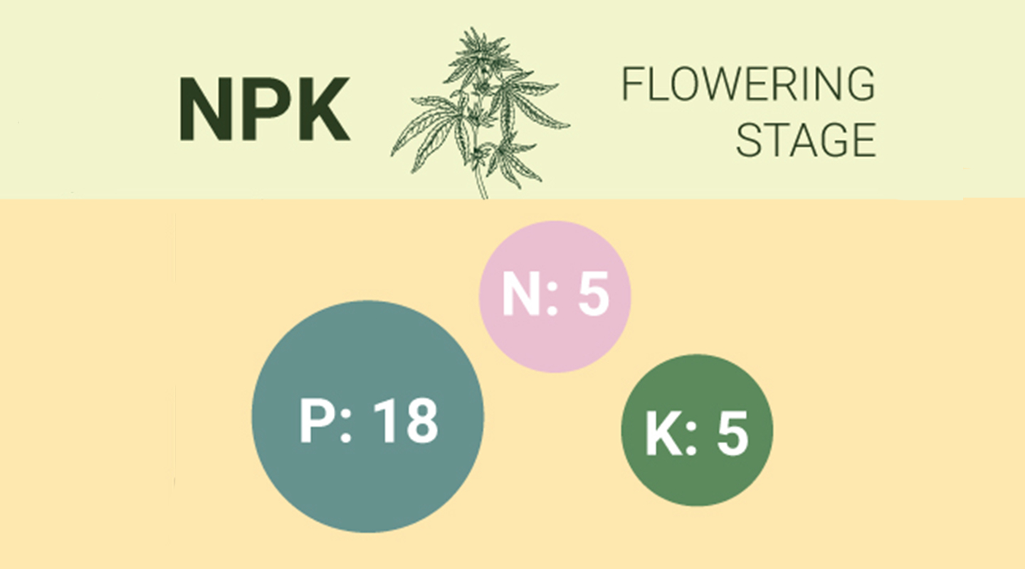 How To Create Your Own Cannabis Super Soil Mix How To Create Your Own Cannabis Super Soil Mix