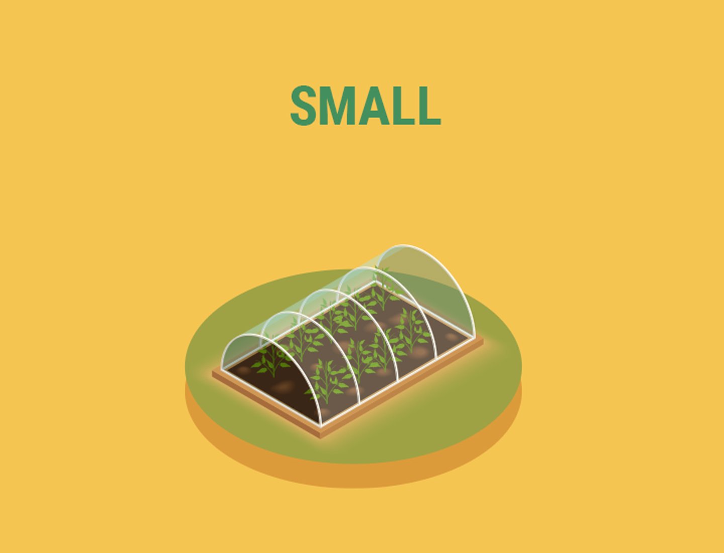 How to build the best greenhouse How to build the best greenhouse