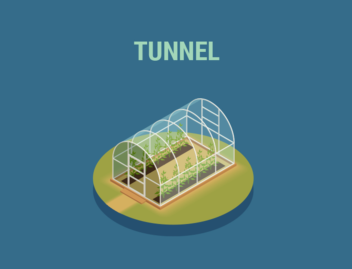 How to build the best greenhouse How to build the best greenhouse