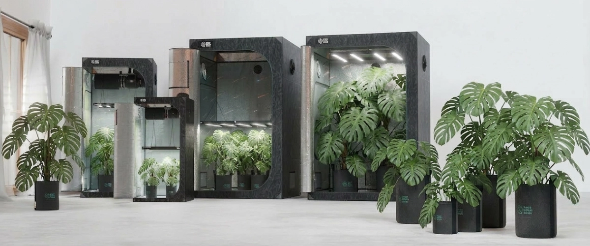 Indoor grow tents alongside grow bags and plant containers in a modern setup, highlighting optimized drainage, root aeration, and efficient water use