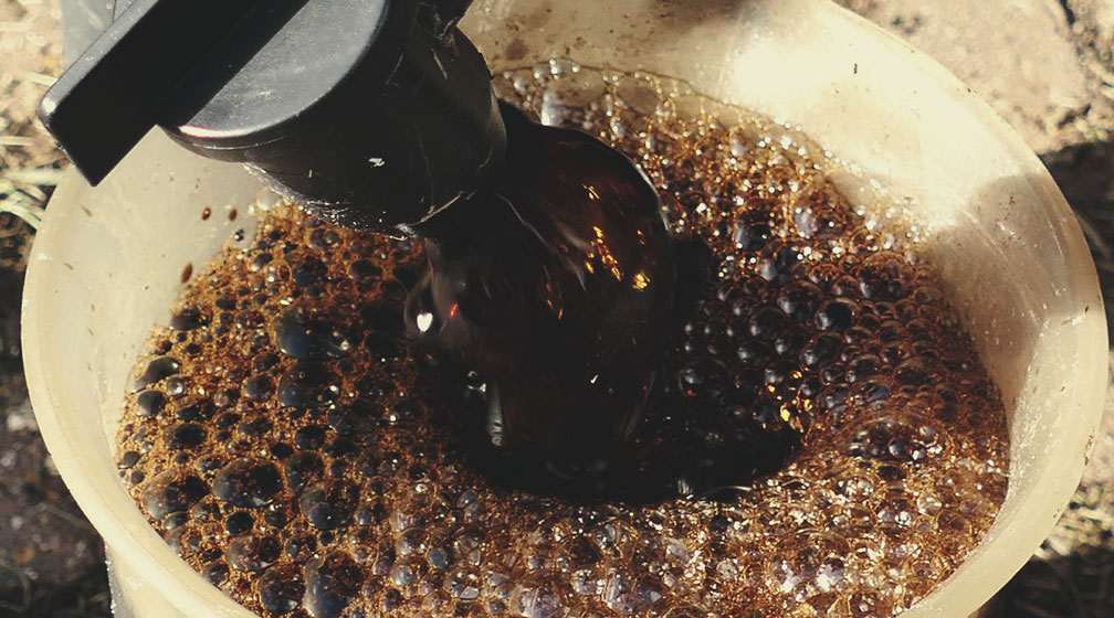 Watered-in as a tea Watered-in as a tea