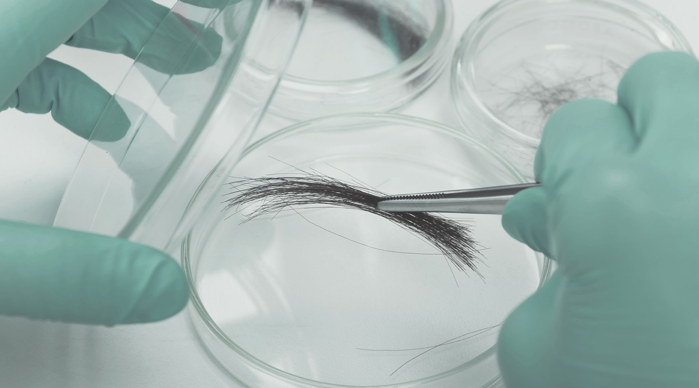 Hair Testing Hair Testing