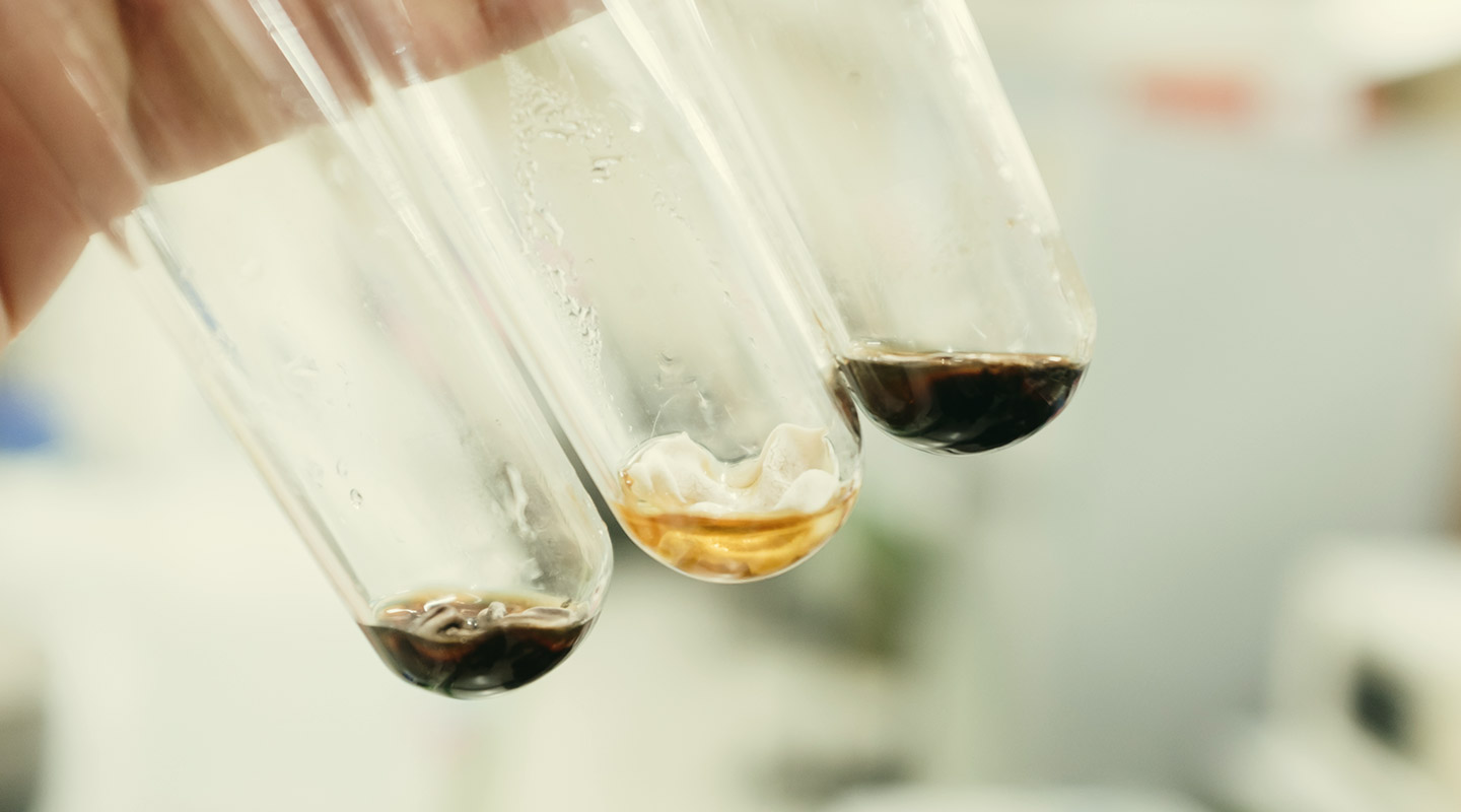 Bioremediation Bioremediation