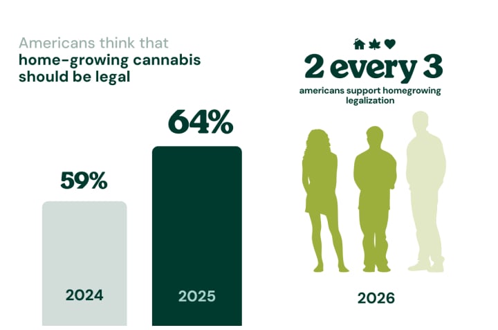 Cannabis Users Prefer the High Over Alcohol Infographic showing that 76% of cannabis users prefer the high of cannabis over the buzz of alcohol.