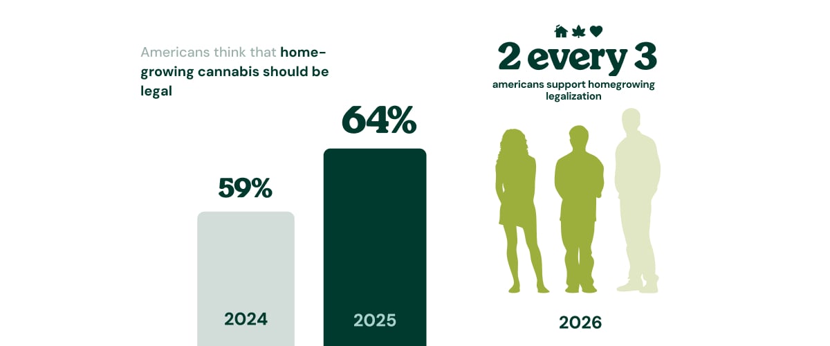 Cannabis Users Prefer the High Over Alcohol Infographic showing that 76% of cannabis users prefer the high of cannabis over the buzz of alcohol.