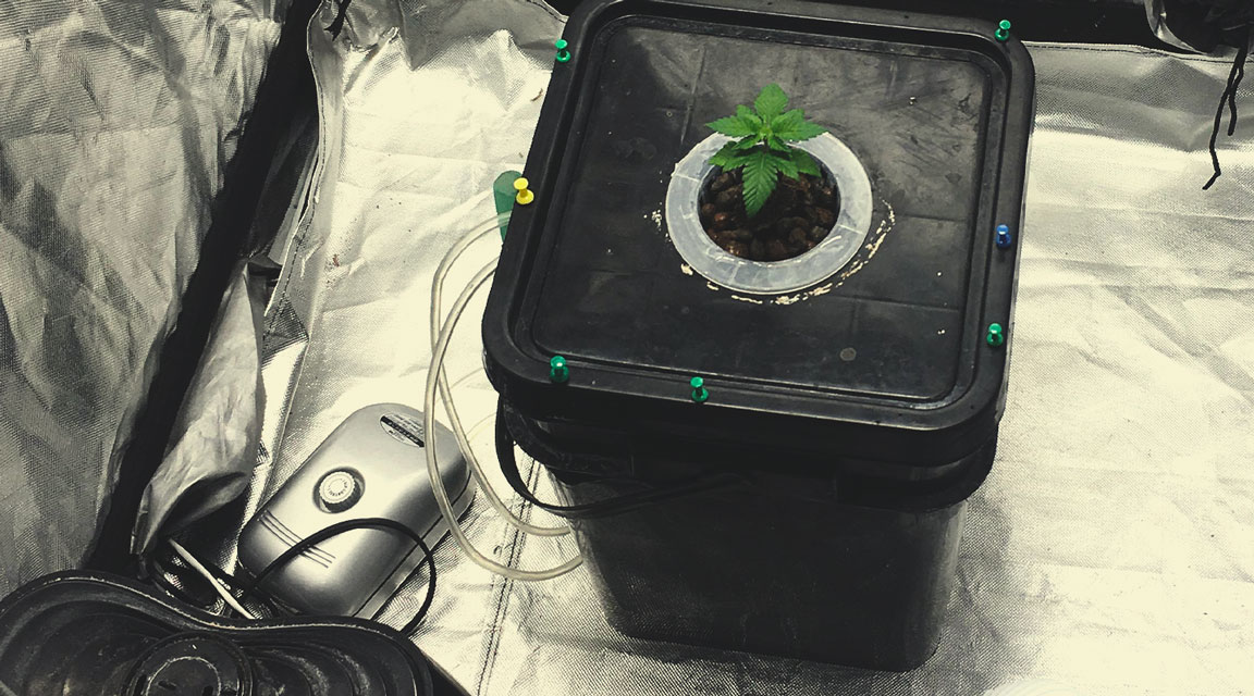 Aeration for your dwc system using an air pump Aeration for your dwc system using an air pump