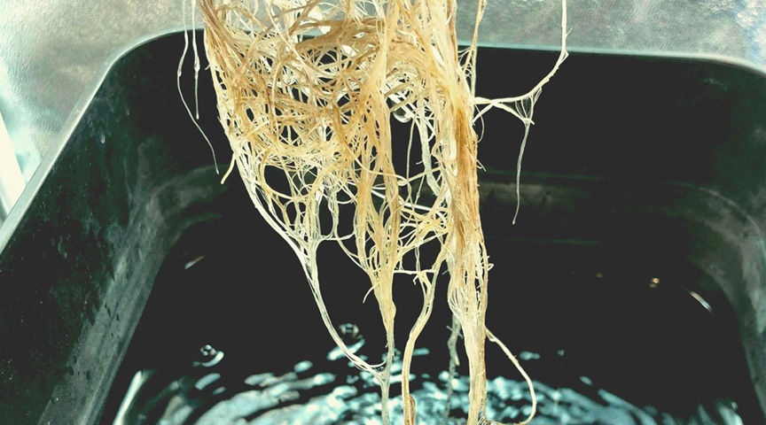 DWC net pots DWC net pots