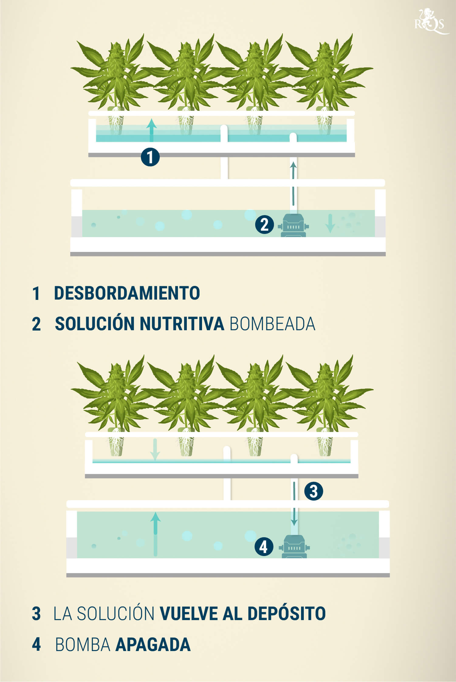 Sistema de flujo y reflujo