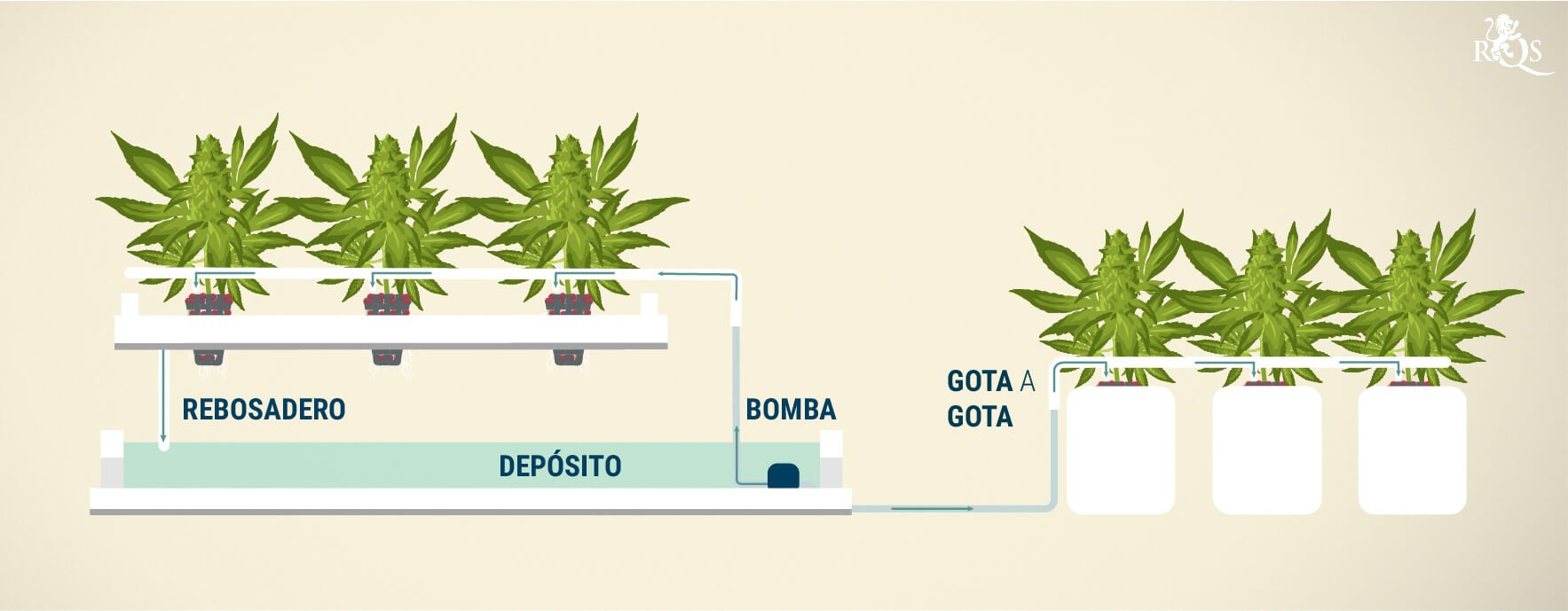 Sistema de goteo