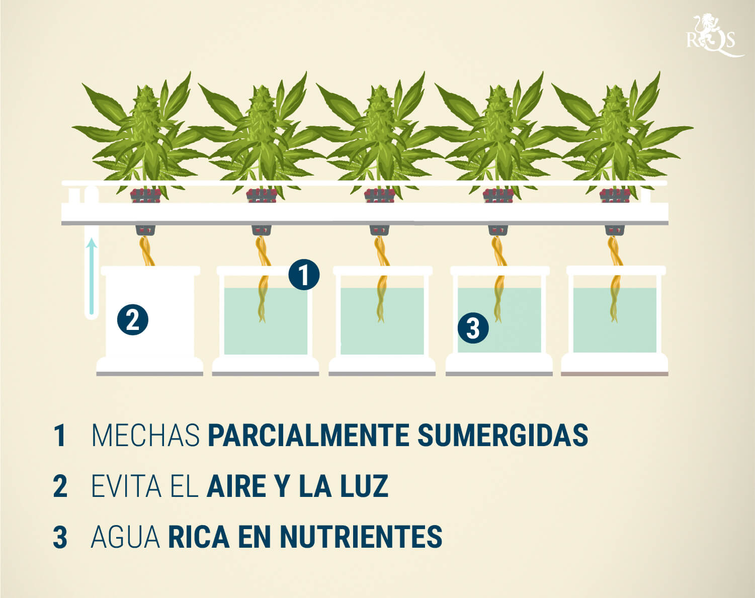 Sistema de mecha