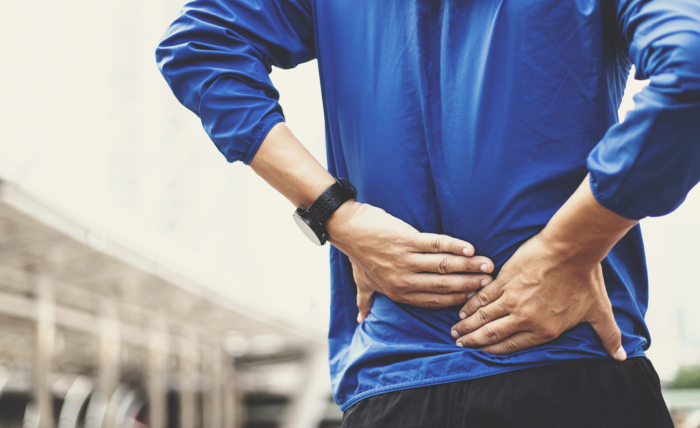 What Is the ECS and How Does It Relate to Inflammation? What Is the ECS and How Does It Relate to Inflammation?