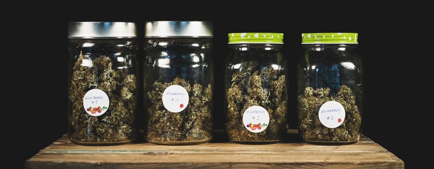 Jars Jars