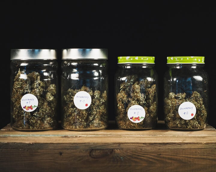 Jars Jars