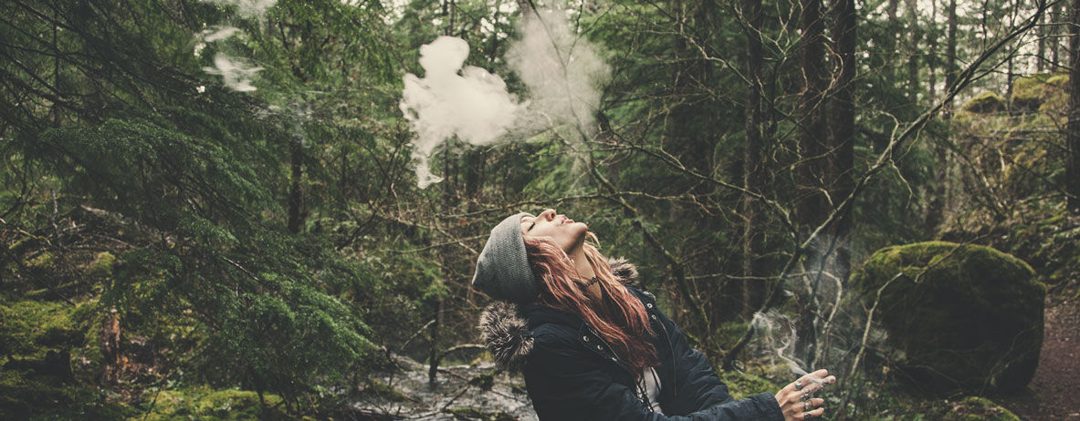 Kush cannabis characteristics Kush cannabis characteristics