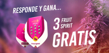 Answer to win 3 FREE Fruit Spirit