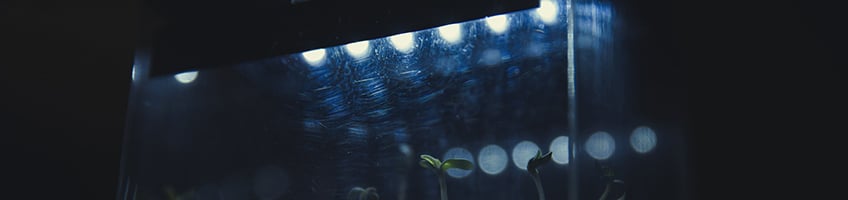 Il·luminació Il·luminació