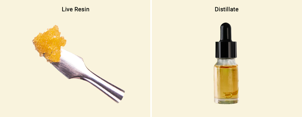 Liv Resin vs Distillate Liv Resin vs Distillate