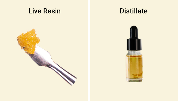 Liv Resin vs Distillate Liv Resin vs Distillate