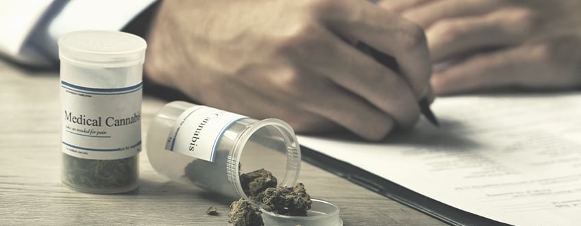 Cànnabis medicinal per a controlar el dolor