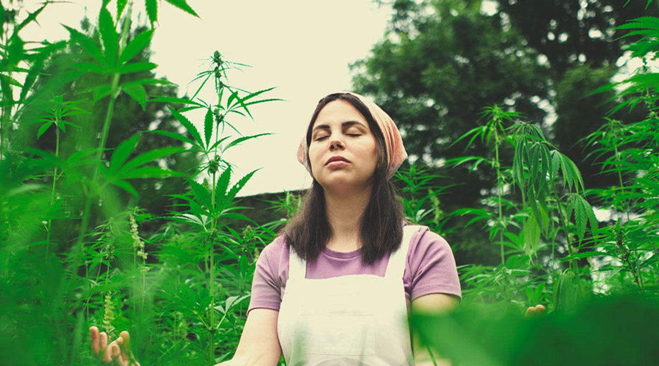 Can you share a practice with us that we could use to meditate with cannabis? Can you share a practice with us that we could use to meditate with cannabis?