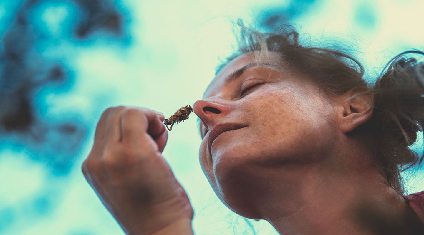 Can cannabis help people deal with anxiety, stress, weight loss, laying off alcohol…? Can cannabis help people deal with anxiety, stress, weight loss, laying off alcohol…?