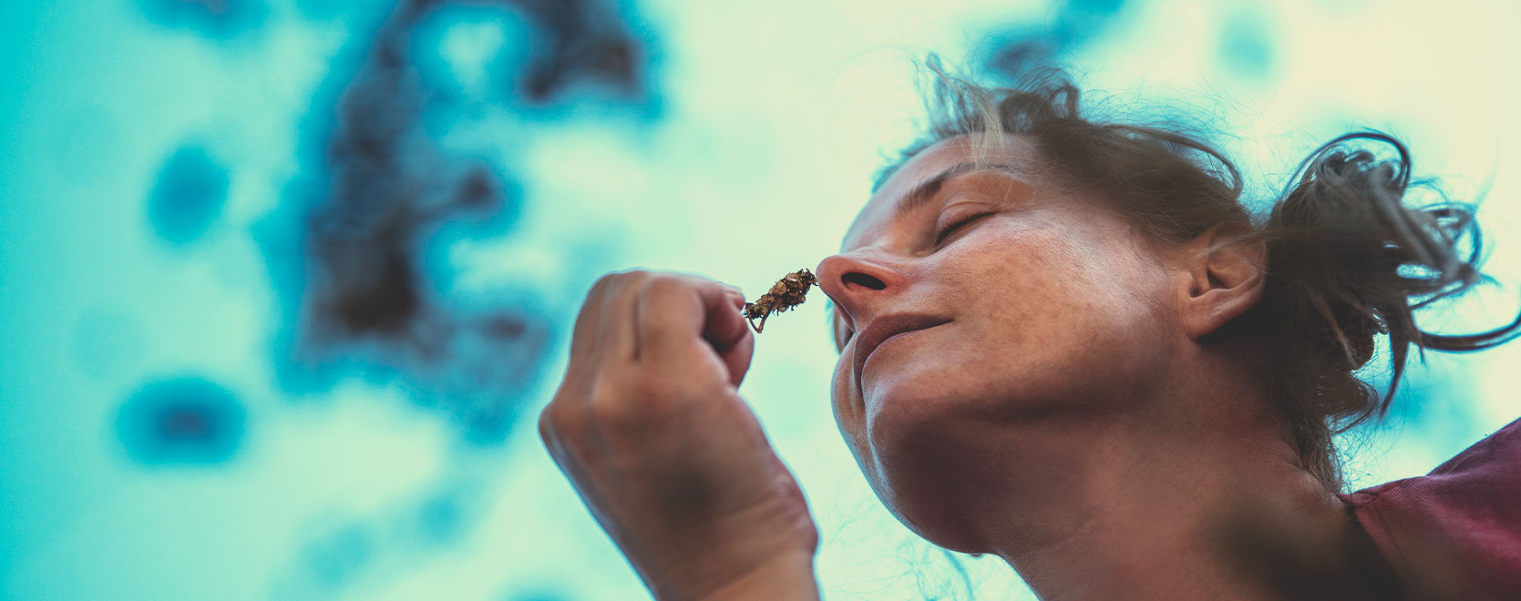 Can cannabis help people deal with anxiety, stress, weight loss, laying off alcohol…? Can cannabis help people deal with anxiety, stress, weight loss, laying off alcohol…?