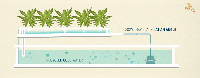 Nutrient Film Technique (NFT) Nutrient Film Technique (NFT)